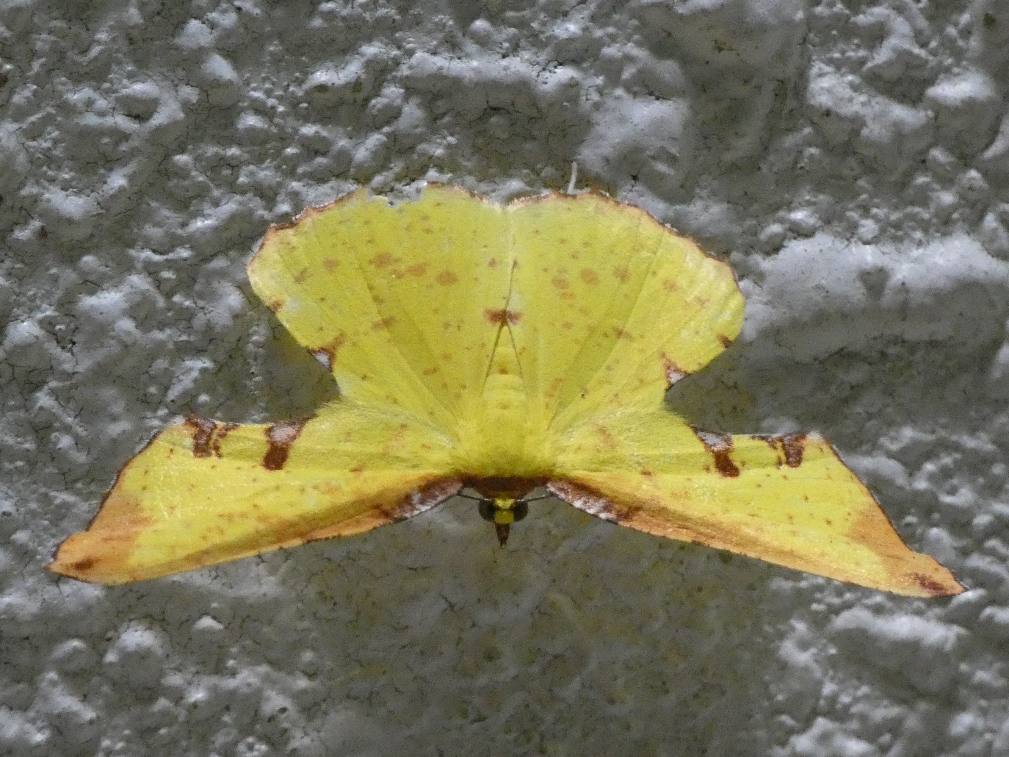 photo_1
